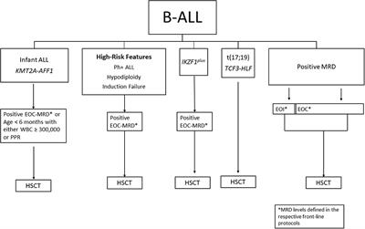 Allogeneic Hematopoietic Stem Cell Transplantation for Children With Acute Lymphoblastic Leukemia: Shifting Indications in the Era of Immunotherapy